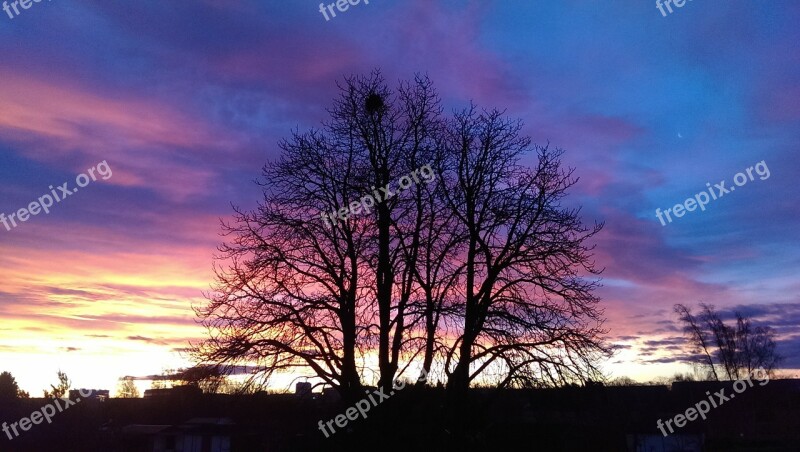 Sunset Trees Natural Spectacle Sky Spectacular