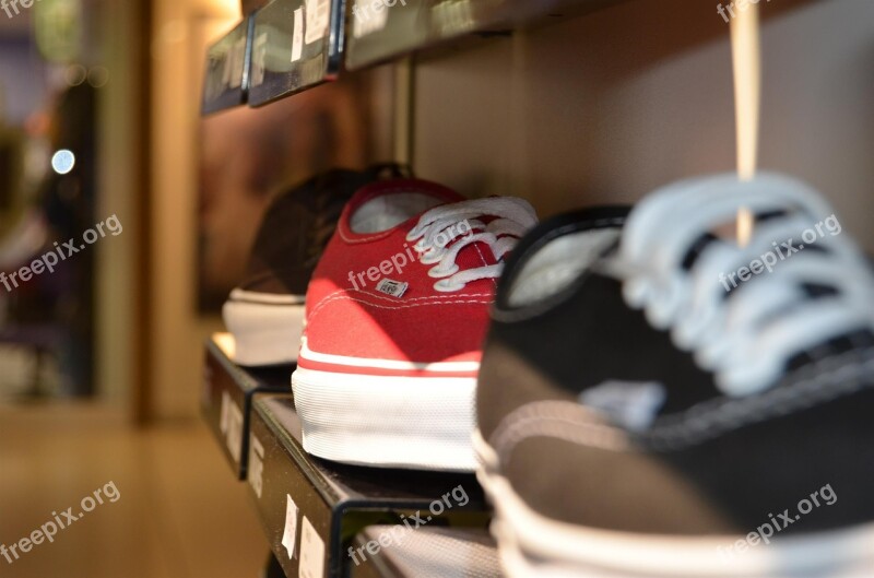 Shoes Laces Shop Shopping Shelf