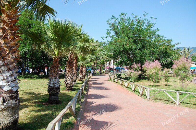 Palm Trees Holidays Holiday Summer Turkey