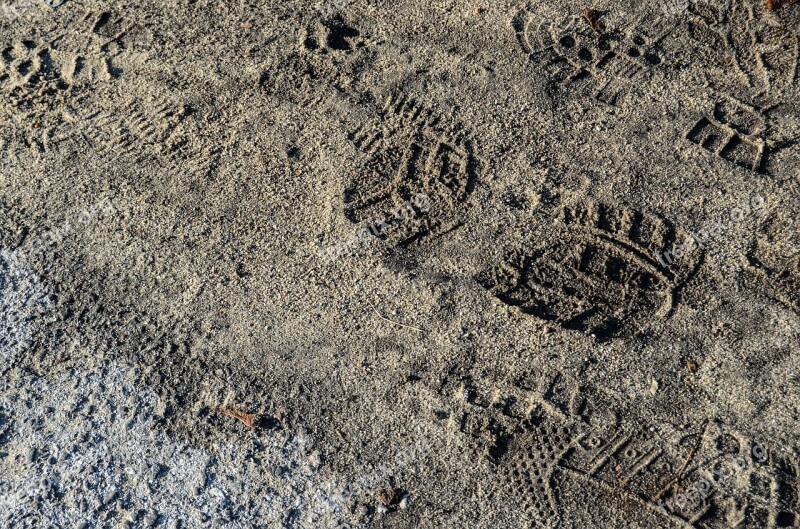 Track Mud The Background Earth Free Photos