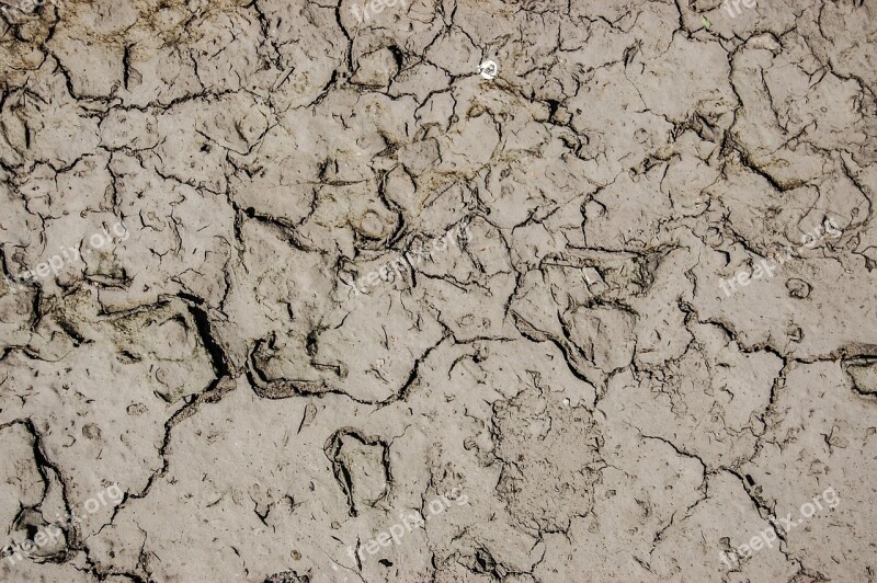 Earth Texture The Background Dry Cracked