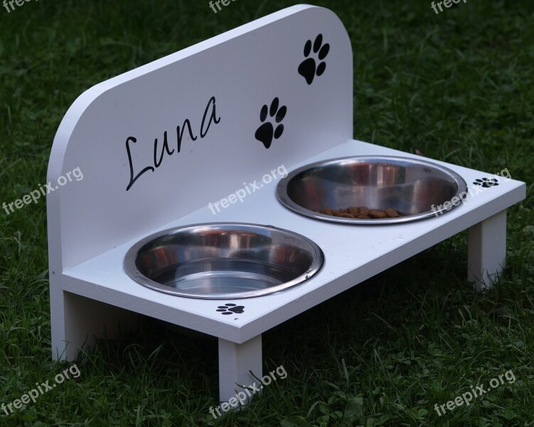 Dog Bowl Food Feeding At Metal Bowl Water