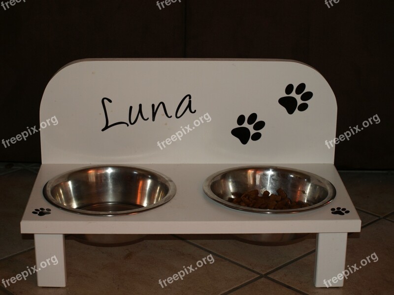 Dog Bowl Bowl Dog Eat Drink