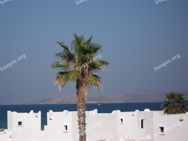 Palm Houses Building Mediterranean Sky