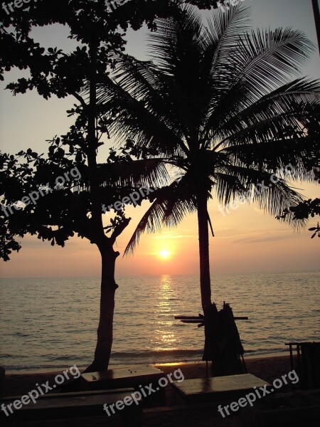 Sunset Sea Coast Palm Trees Free Photos