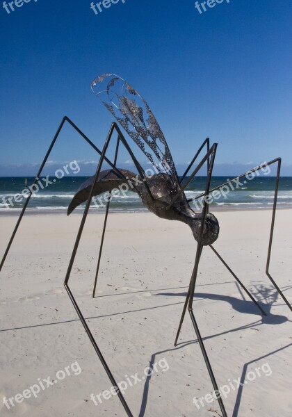 Insect Sculpture Art Black Large