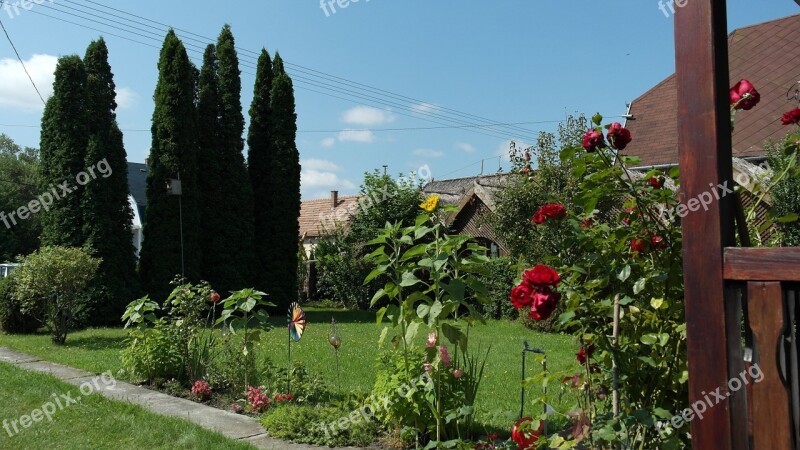 Garden Summer Flowers Blossom Bloom