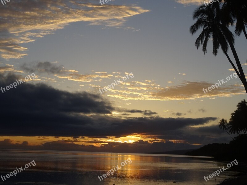 Abendstimmung Sunset Palm Clouds Evening Sky