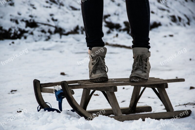 Sled Playful Youth Youthful Young