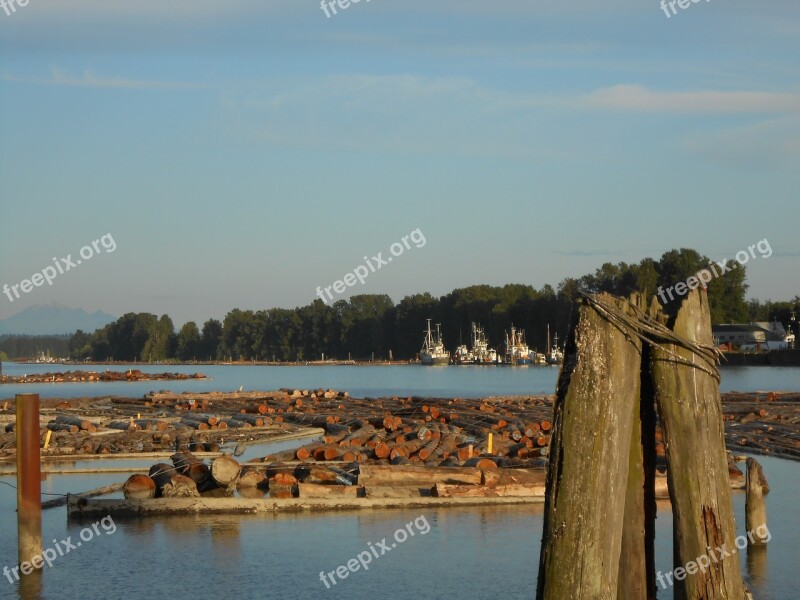 Logs Lumber River Logging Timber