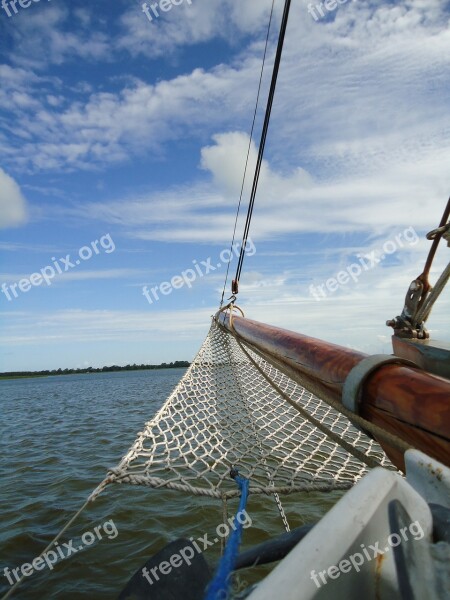 Sailing Boat Bug Sail Boat Sea