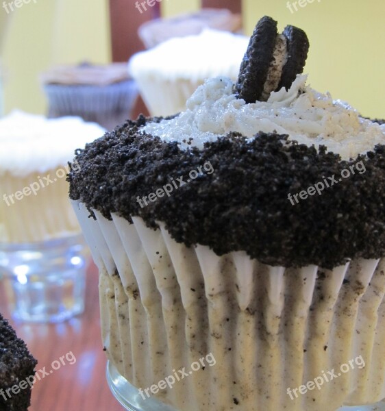 Cupcakes Icing Dessert Cake Food