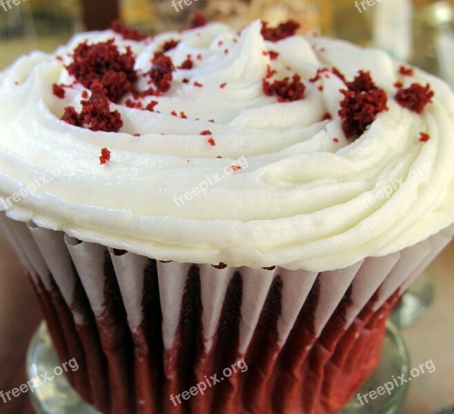 Cupcake Icing Dessert Cake Food