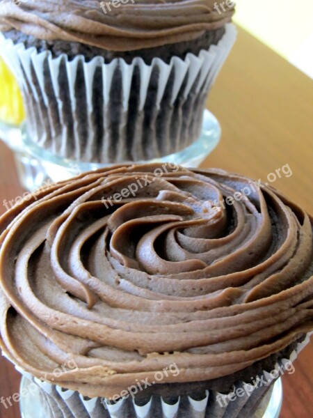 Cupcakes Chocolate Icing Dessert Cake