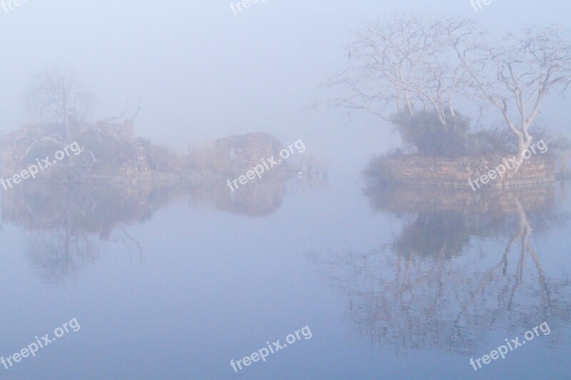 Fog Mist Lake Water Swamp