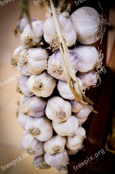 Garlic Natural Antibiotic Eating Taste