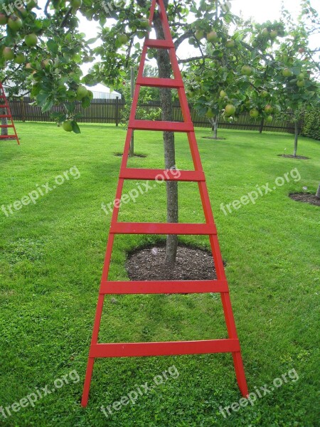 Ladder Art Red Garden Summer