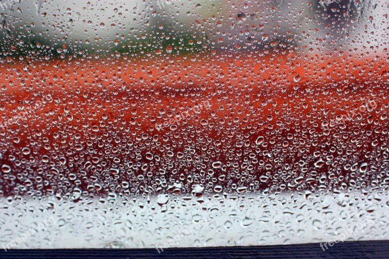 Raindrops Red Non Free Photos