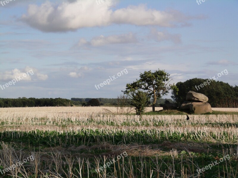 Fields Northern Germany Landscape Germany Free Photos