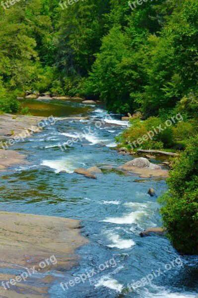 River Forest Water Dupont Dupont Forest