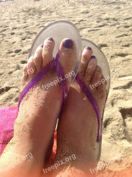 Feet Flip Flops Pedicure Free Photos