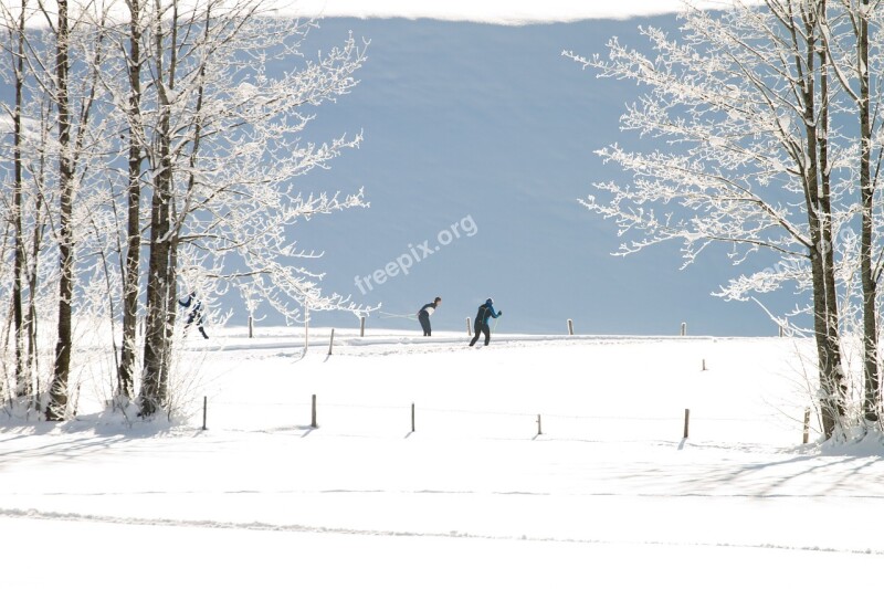 Cross Country Skiing Winter Trail Cross-country Skiing Snow