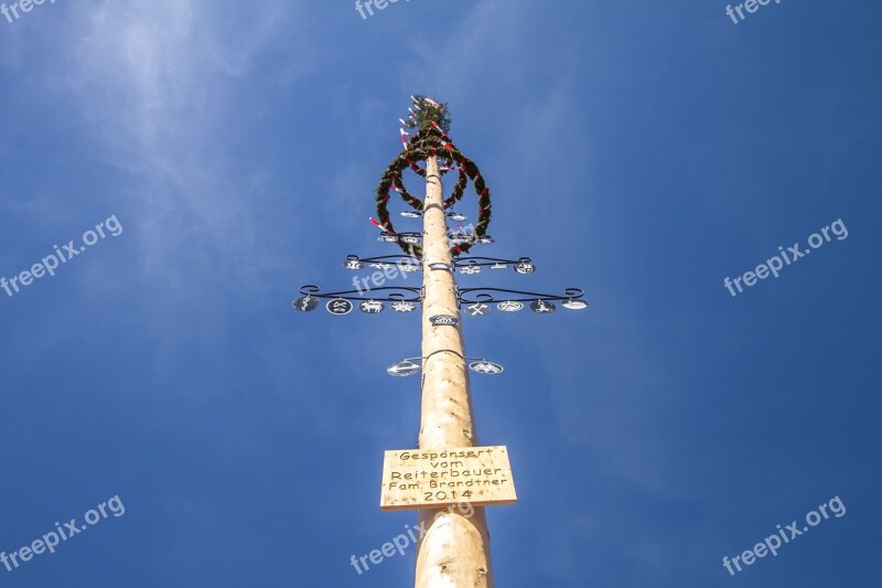 Maypole Tree Tradition Wood Spring