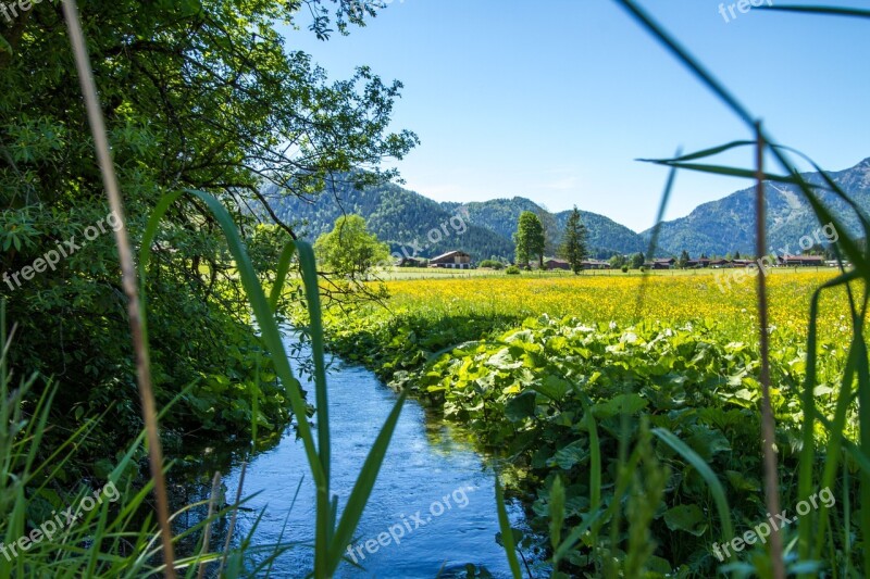 Bach River Water Nature Forest