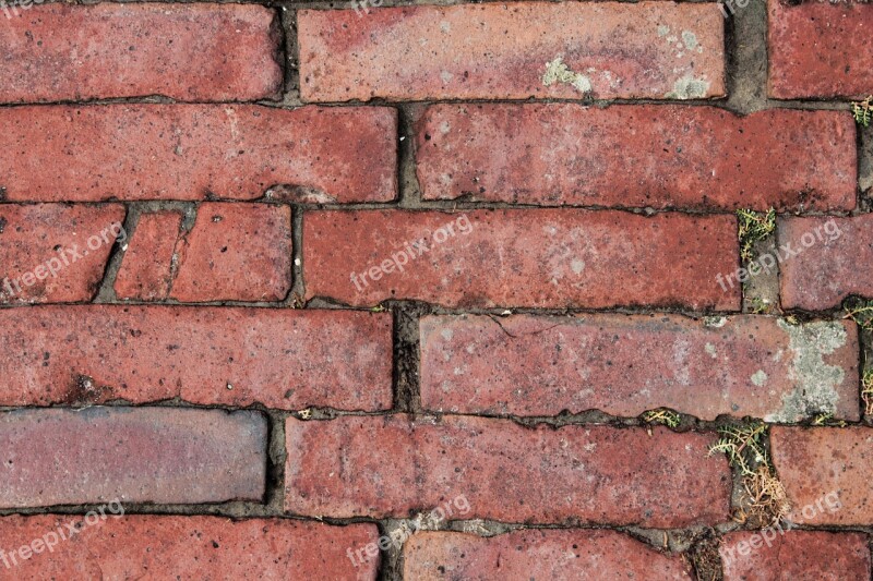 Wall Bricks Brick Texture Red