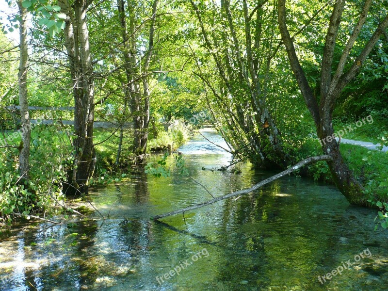 Bach Black Forest Trees Landscape Water