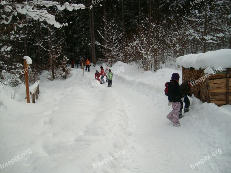 Snow Forest Winter Wintry Snowy