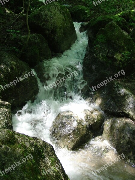 Waterfall Bank Bach Water Murmur