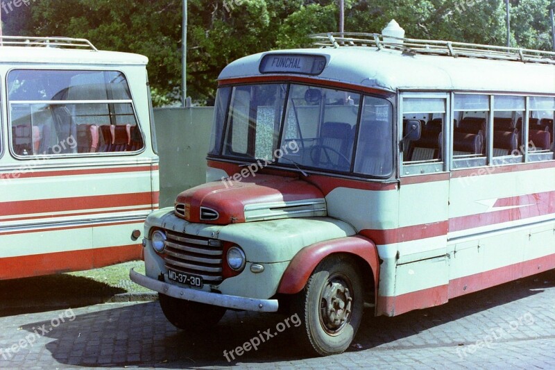 Bus Service Bus Age Vehicle Oldtimer