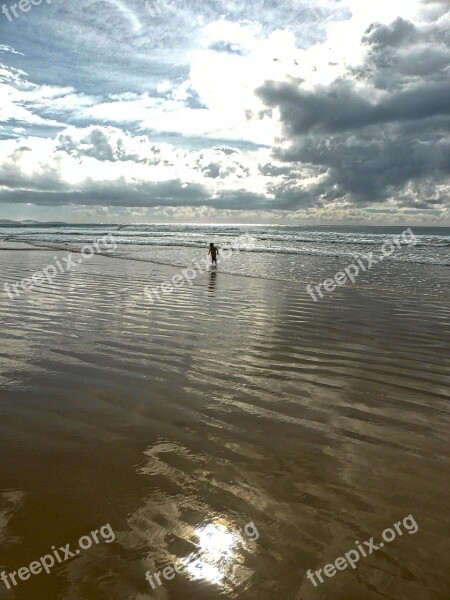 Child Playing Beach Coast Marine