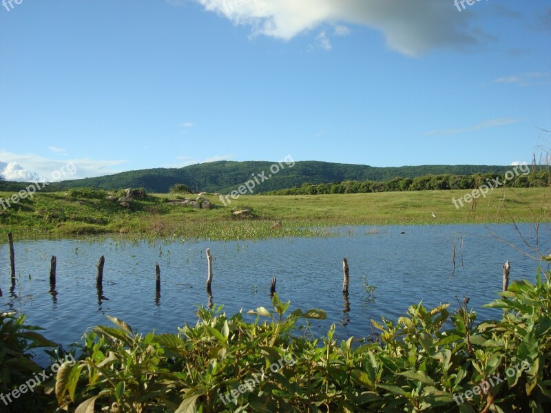 Pond Rural Uiraúna-pb Free Photos