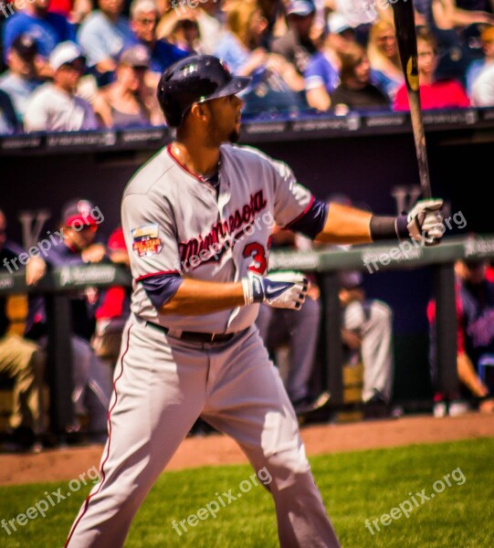 Aaron Hicks Baseball Minnesota Twins Hitter Baseball Bat