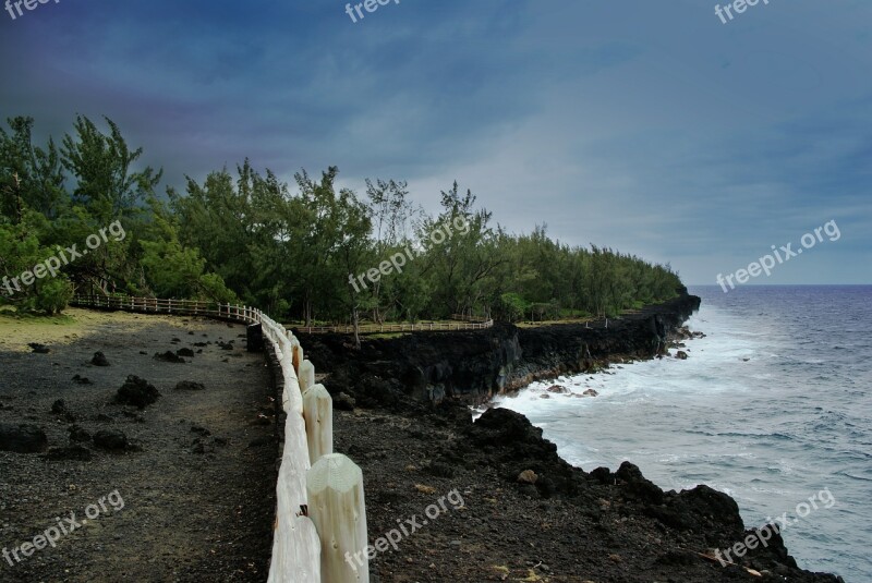 Reunion Island Lava Sea Sky Tree