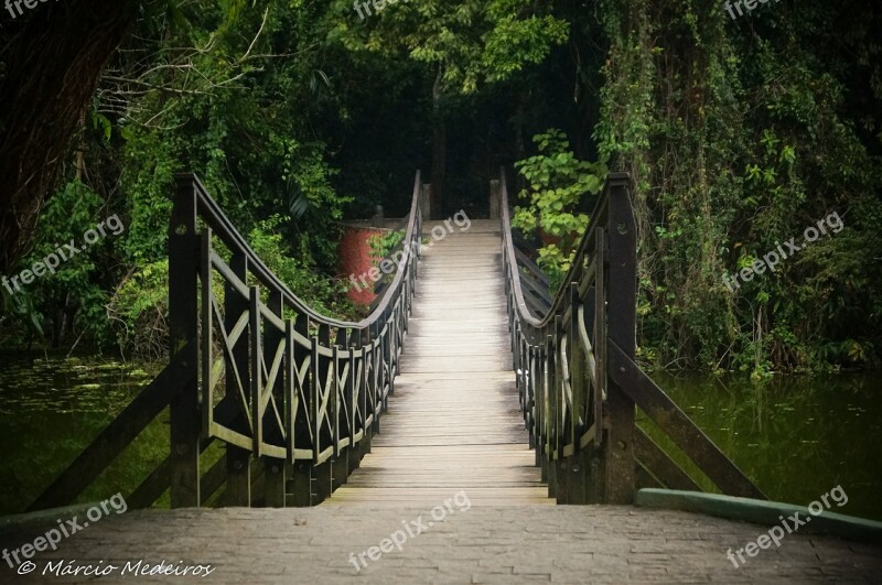 Bridge Rio Pond Santos Lagoa Da Saudade