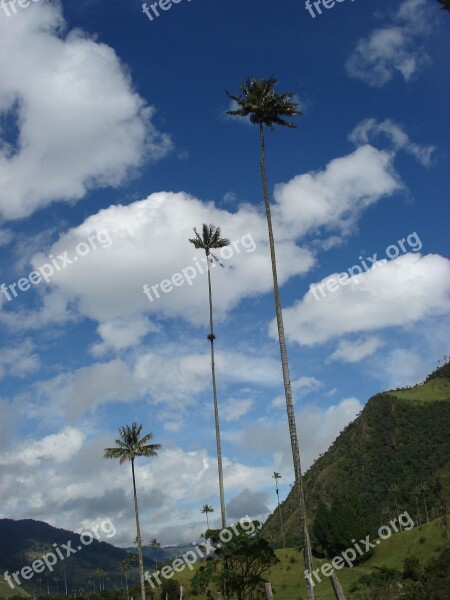 Clouds Sky Landscape Palmas Free Photos