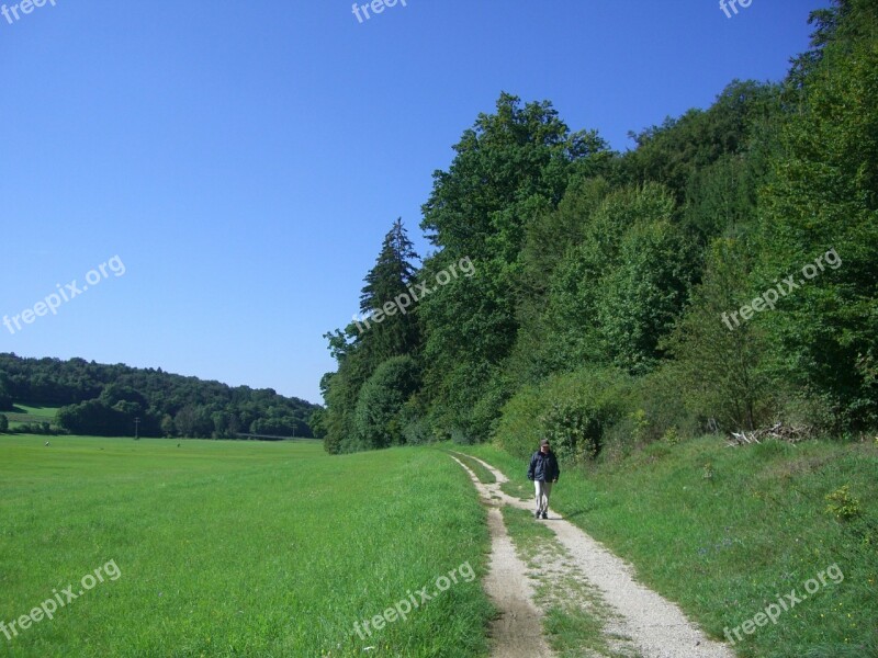 Away Trail Wanderer Nature Meadow