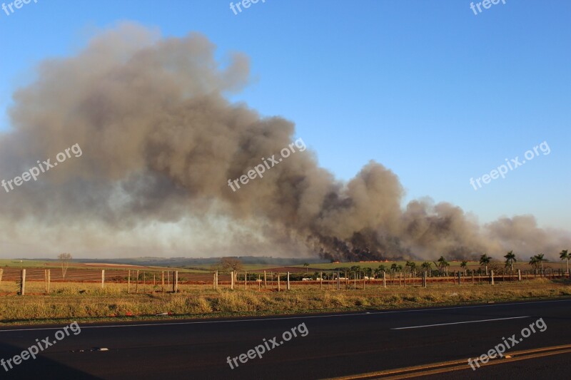 Fire Landscape Burned Environment Plantation