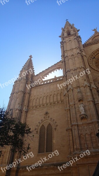 Palma Cathedral Cathedral Cathedral Of Santa Maria Of Palma Church Old