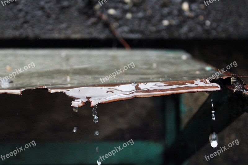 It's Raining Rain Raindrops Water Droplets Free Photos