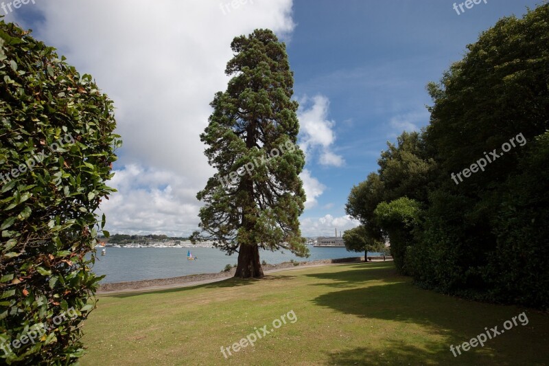 Cedar Park Garden Trees Sea