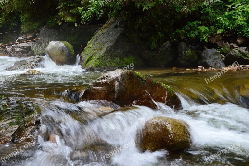 River Tatry Mountains Free Photos