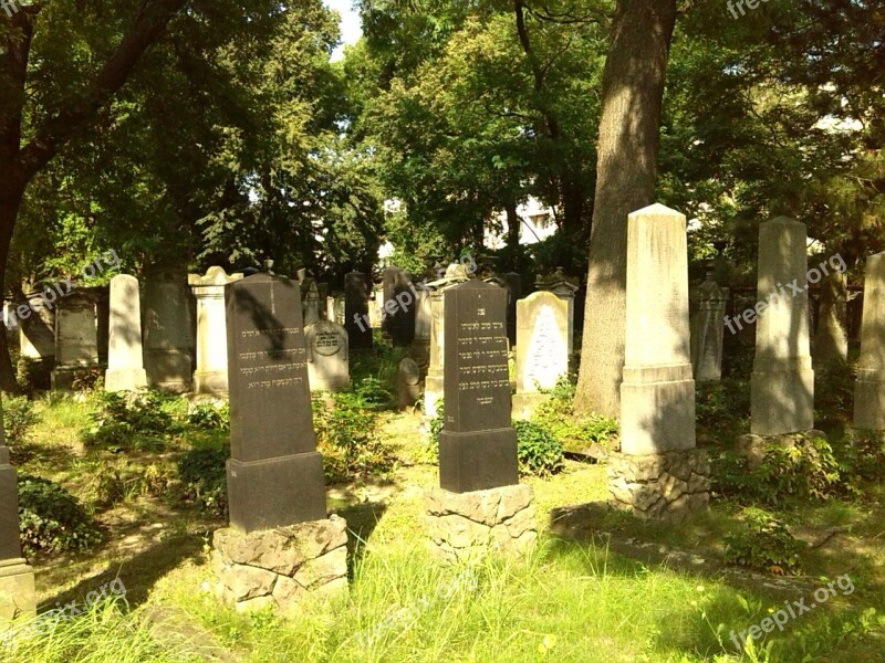 Grave Stones Graves Magdeburg Cemetery Jewish Cemetery