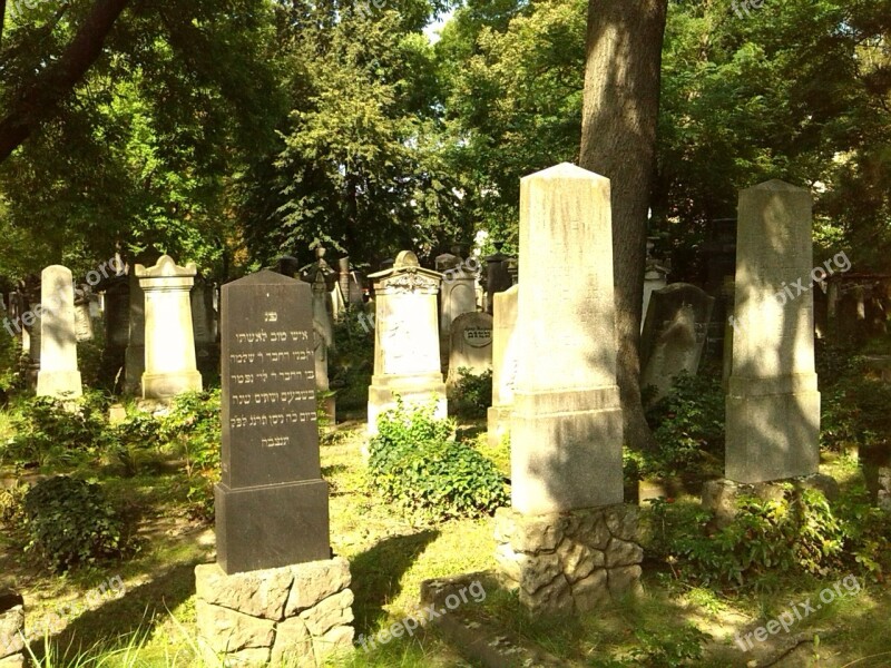 Graves Grave Stones Magdeburg Cemetery Jewish Cemetery