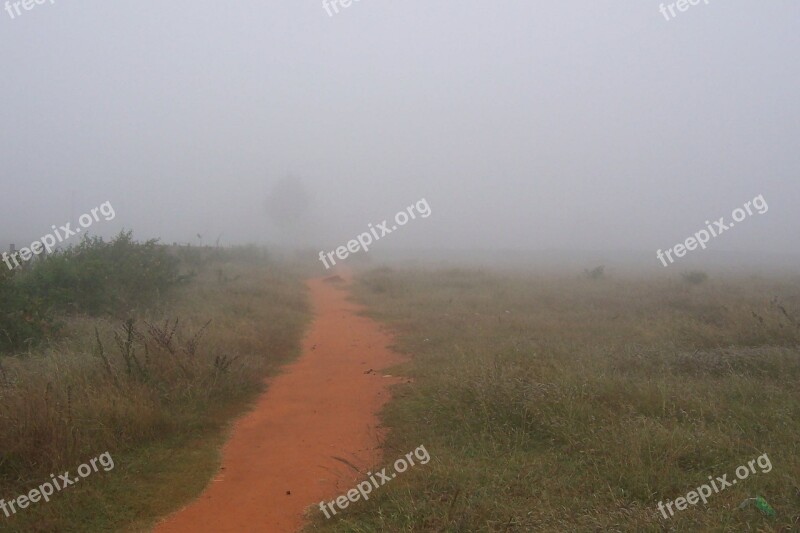 Path Mist Nature Foggy Season