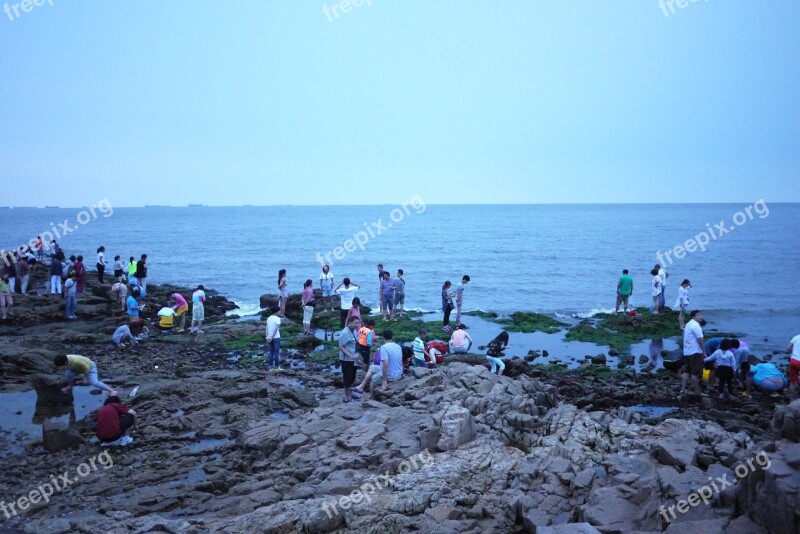 The Sea Early In The Morning Visitors Free Photos