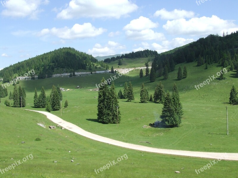 Transylvania Padis Forest Plateau Nature